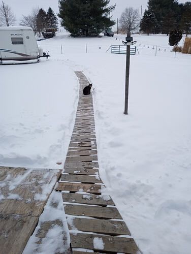 IMG_20260202_143958731