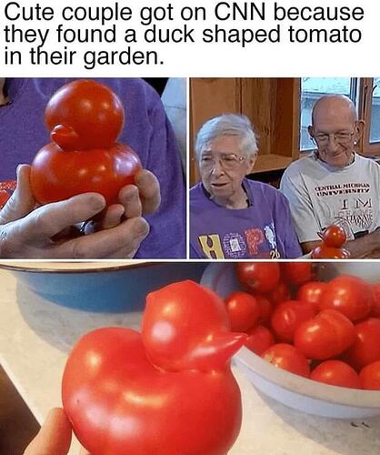duckshappedtomato