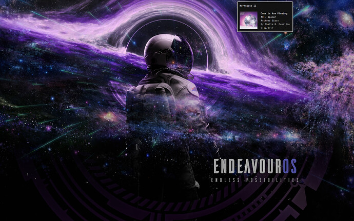 Endeavouros-Portal