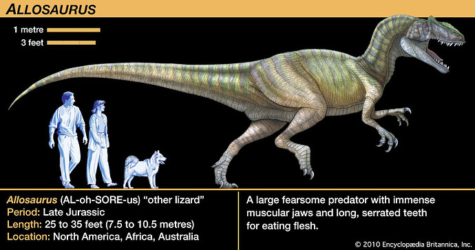 Allosaurus-jaws-Theropoda-flesh-teeth-meat-eating-dinosaurs