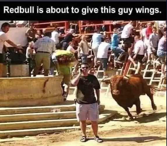 redbullwings