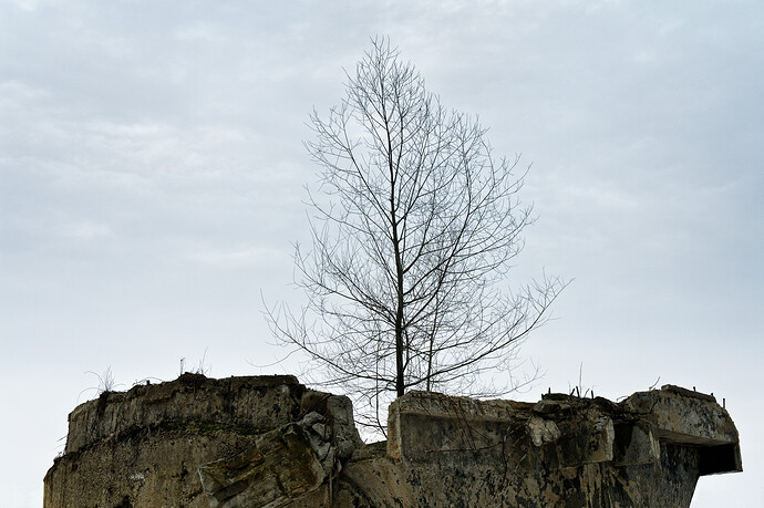 2011.04.02_SAM_7295_LR