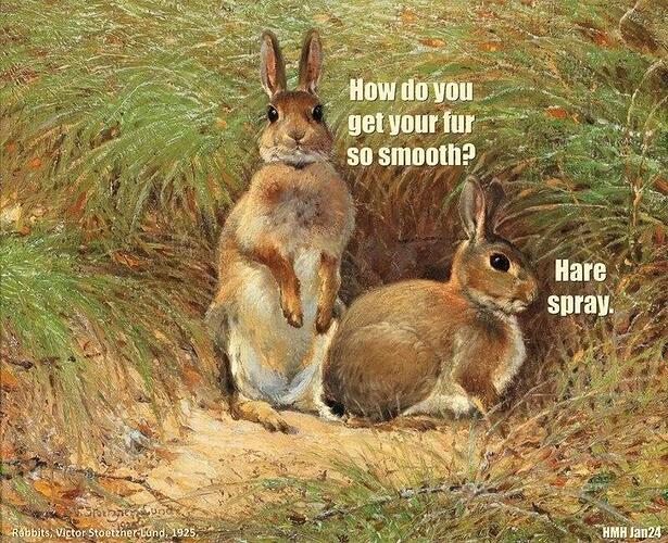harespray