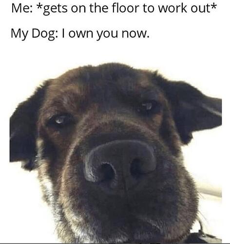 iownyou