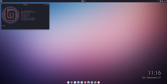 Screenshot_Linux Mint 22.2_2025-09-27_11:16:02