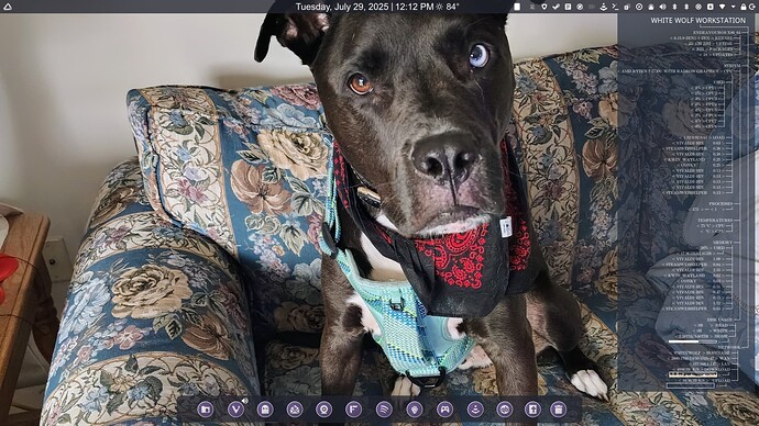 Screenshot_20250729_121234