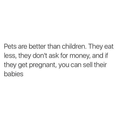 petsbetter