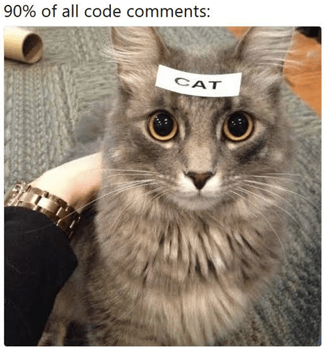 90-all-code-comments-cat
