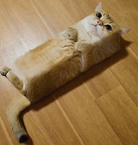 Screenshot_20240124_001803