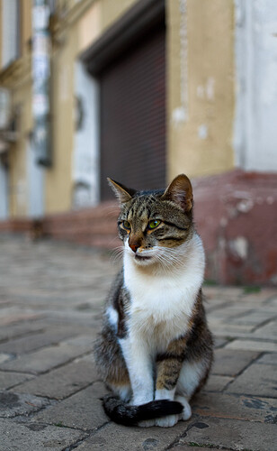 2011.08.27_SAM_1503_LR