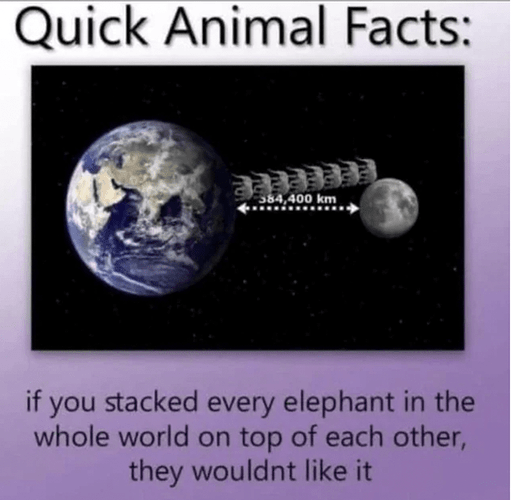 animal-facts-584400-km-if-stacked-every-elephant-whole-world-on-top-each-other-they-wouldnt-like