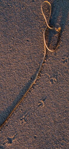 2007.06.10_DSCF6737_LR