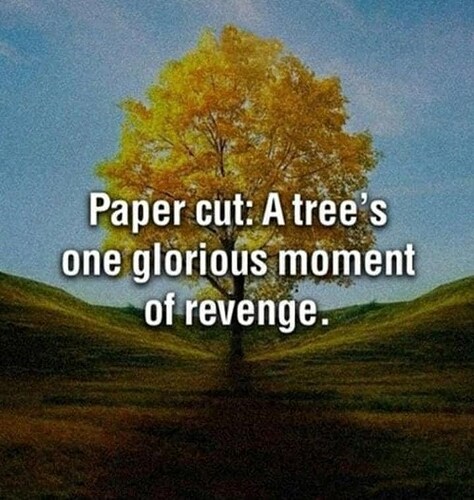 paper-cut-trees-one-glorious-moment-revenge