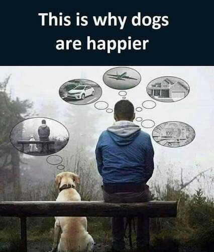 Why dogs are happier