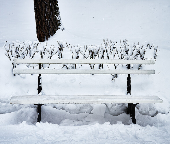 2013.02.05_POM_2874_LR