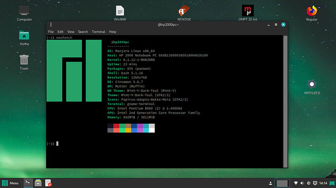 first-manjaro-cinnamon