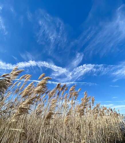 sky