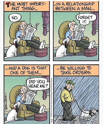 Screensho_20250207_175504