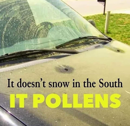 pollens