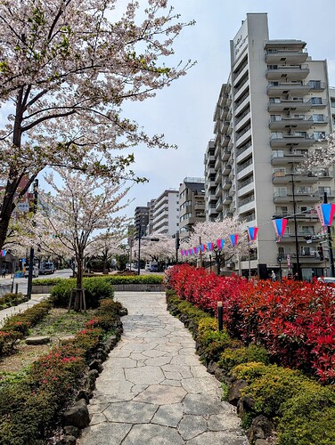 PXL_20250408_034759749~2