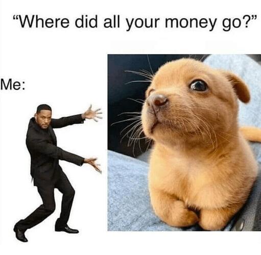 moneygo