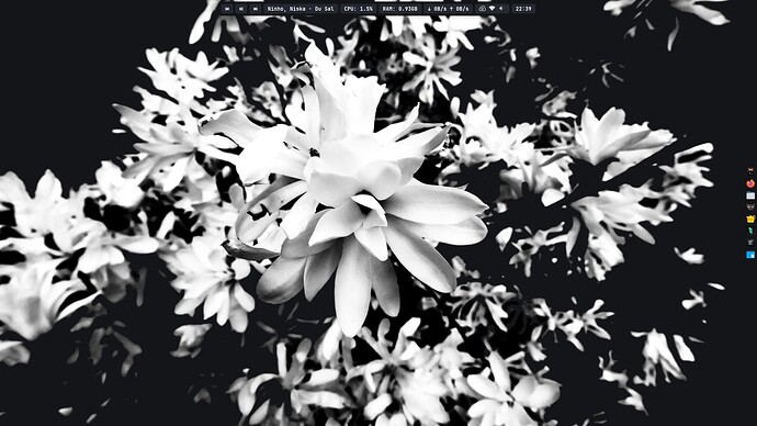 openbox5