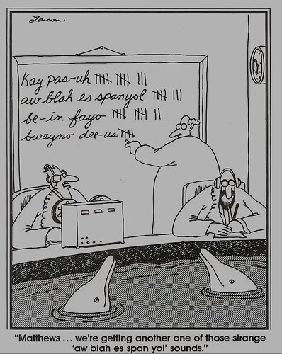 SmartSelect_20250704_212349_Samsung Internet