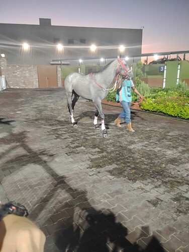 IMG_20250823_200311521