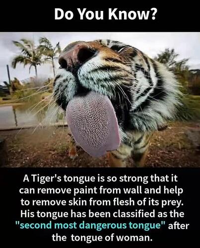 tongue