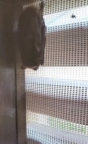 IMG20240922180823~2
