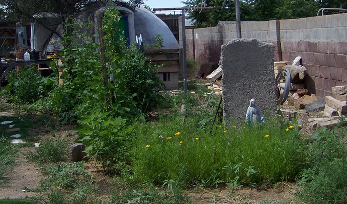 3956_garden-and-virgin