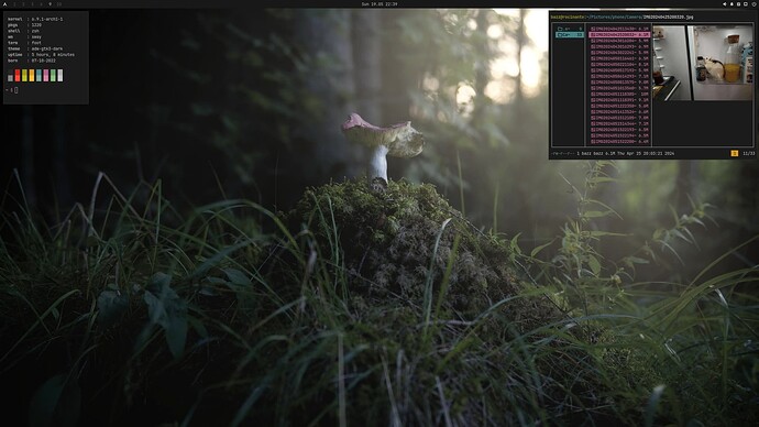 2024-05-19-22-39-34_screenshot