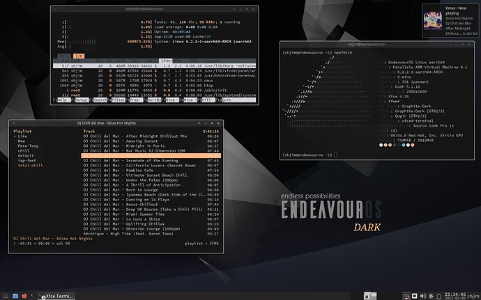 Screenshot_2023-03-09_EndeavourOS-Dark-2