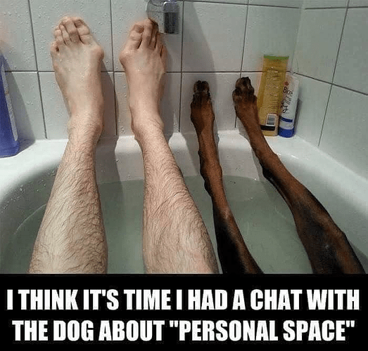 dogchat
