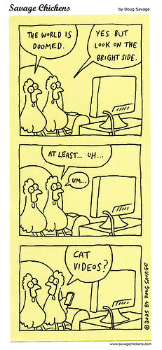 chickendoomresponse