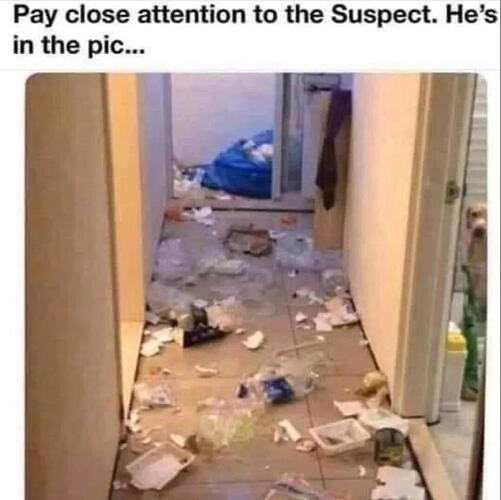 suspect