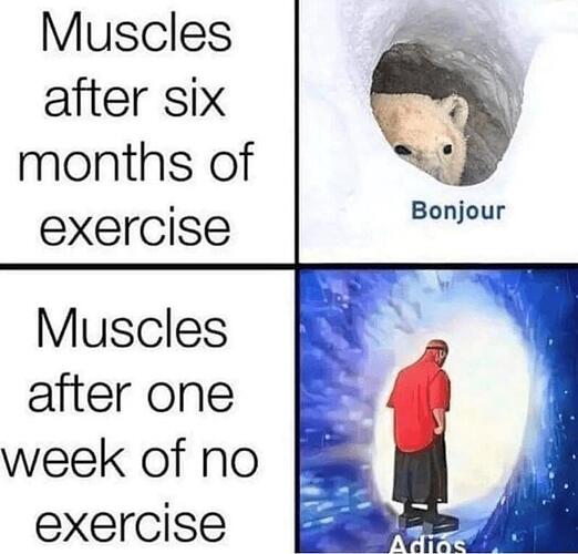 muscles