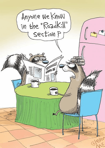 roadkillsection