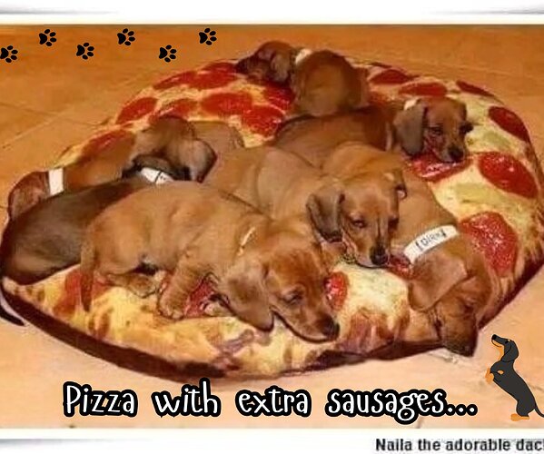 dogpizza