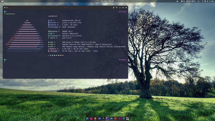 Screenshot From 2026-07-25 09-02-09
