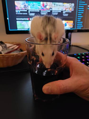 signal-2023-09-27-17-05-39-608