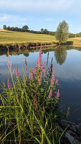 PXL_20250714_064029687