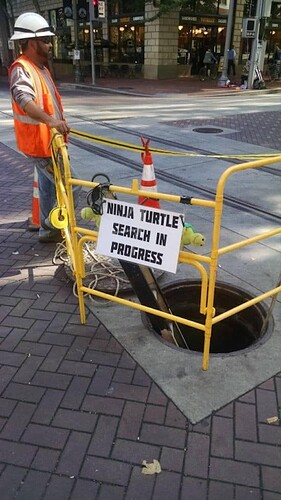 ninjaturtle