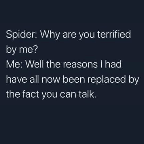 spider-why-are-terrified-by-well-reasons-had-have-all-now-been-replaced-by-fact-can-talk
