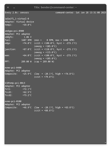 Screenshot from 2025-06-28 13-31-05