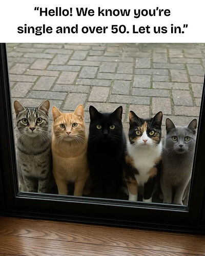 d48ceef7-afc4-45b3-9952-e664343d7817