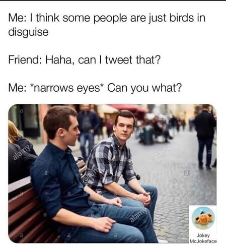 birds-disguise-friend-haha-can-tweet-narrows-eyes-can-alamy-kalamy-alamy-alamy-b-jokey-mcjokeface