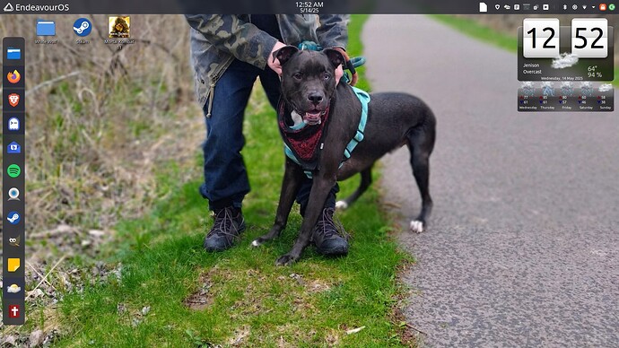 Rune-wallpaper-white-wolf-X