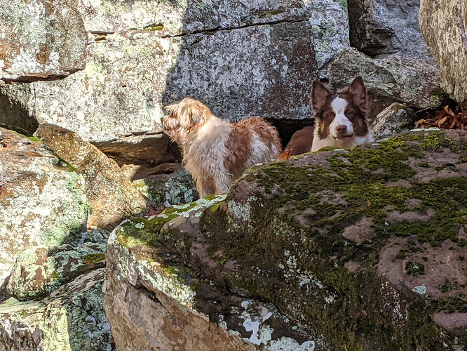 PXL_20211111_151345914