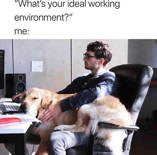 workingenvironment